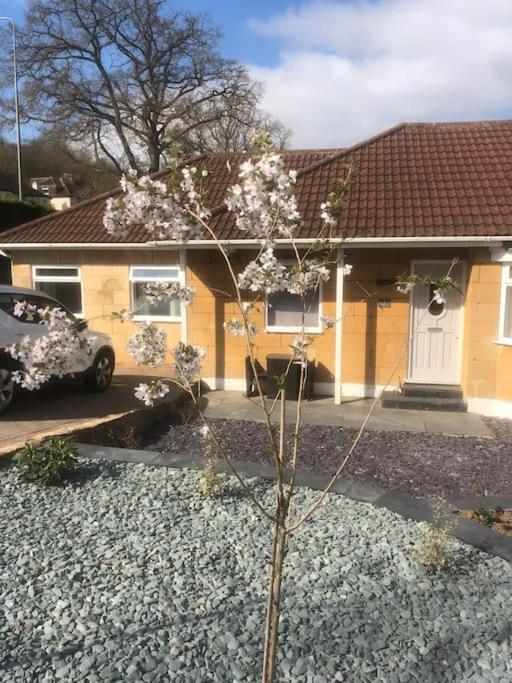 Quiet And Cosy Flat, Close To Bath Centre Ngoại thất bức ảnh